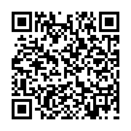 QR code for RLE917