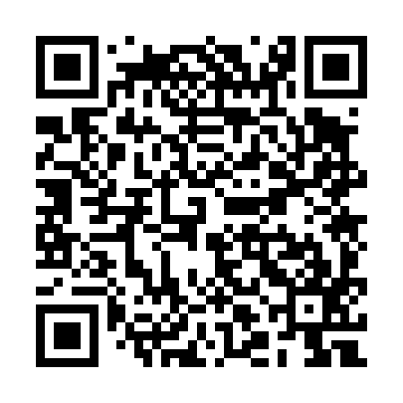 QR code for RLO497