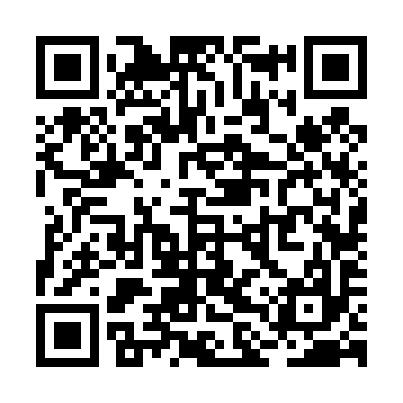 QR code for RLV497