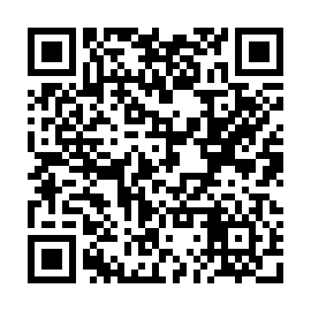 QR code for RLZ306