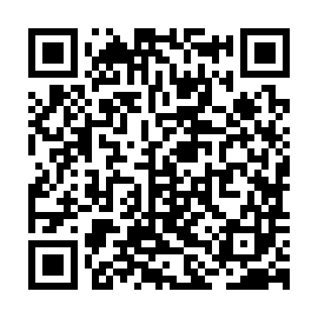 QR code for RLZ383