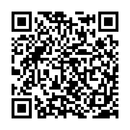 QR code for RMB313
