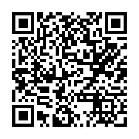 QR code for RMB463