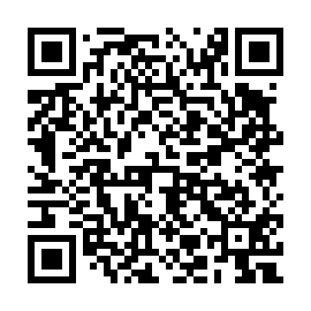 QR code for RMQ411