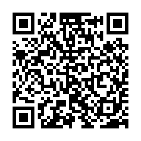 QR code for RNS291