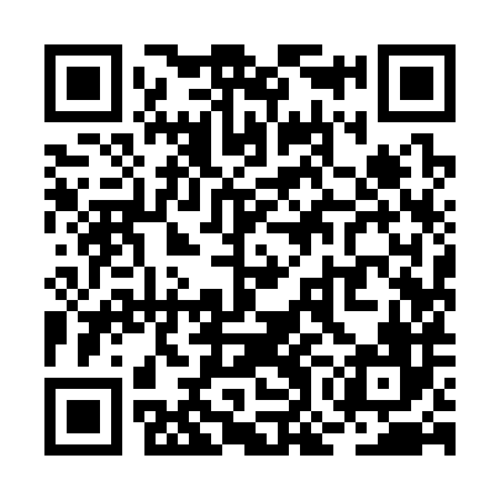 QR code for ROI386
