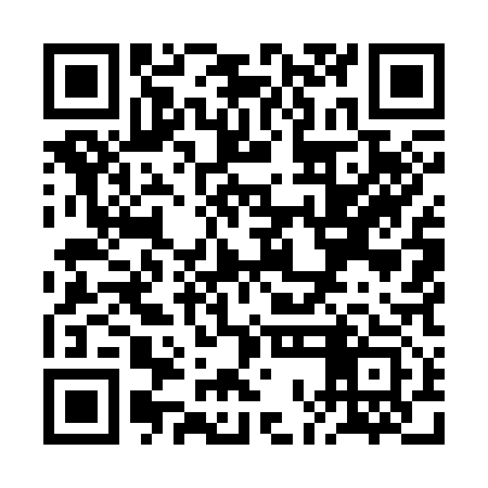 QR code for ROM313