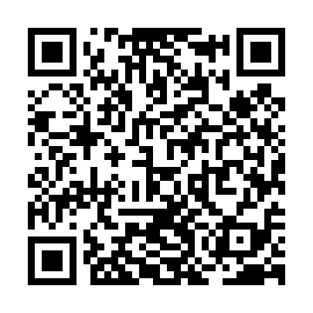 QR code for ROM419