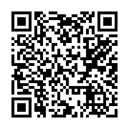 QR code for ROQ295