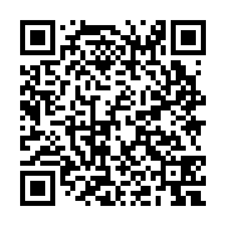 QR code for ROY338
