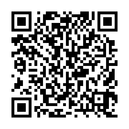 QR code for RPA341