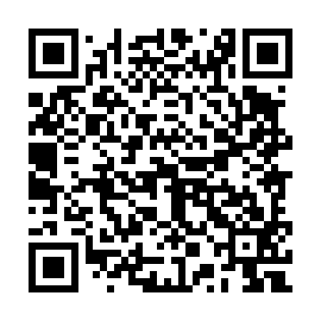 QR code for RPH493