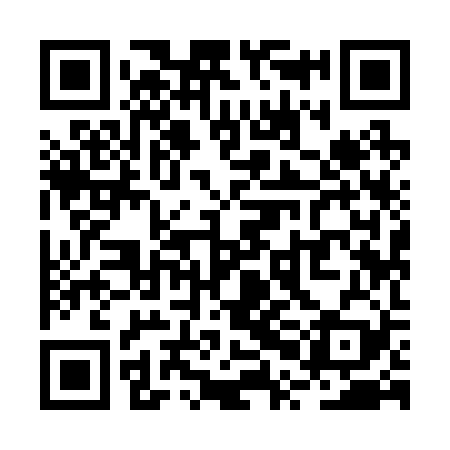 QR code for RPI229