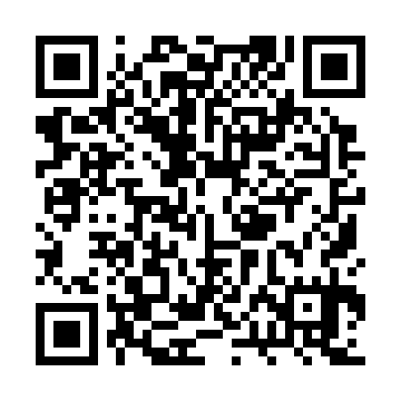 QR code for RPI335