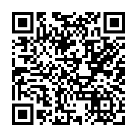 QR code for RPI397