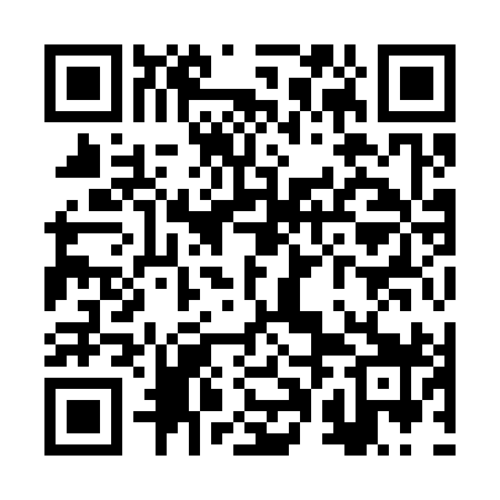 QR code for RPI399