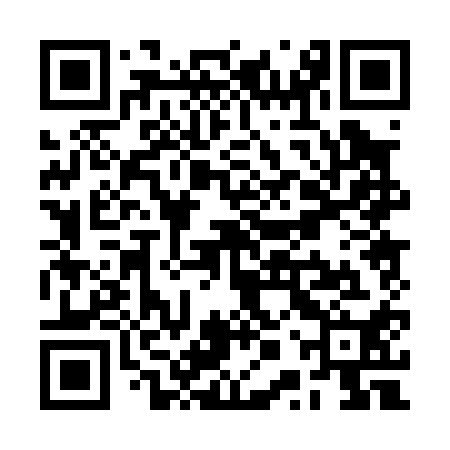 QR code for RPP010