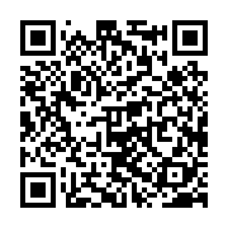 QR code for RPP228