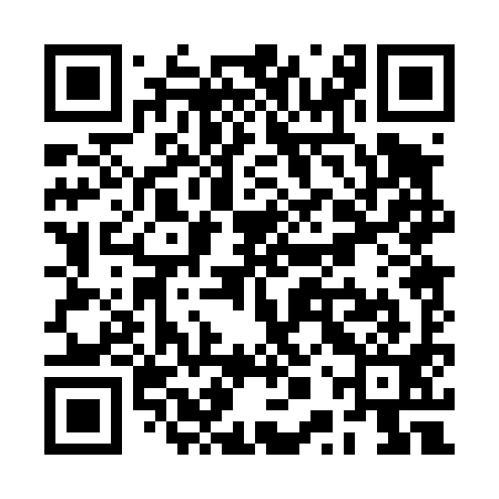 QR code for RPP491