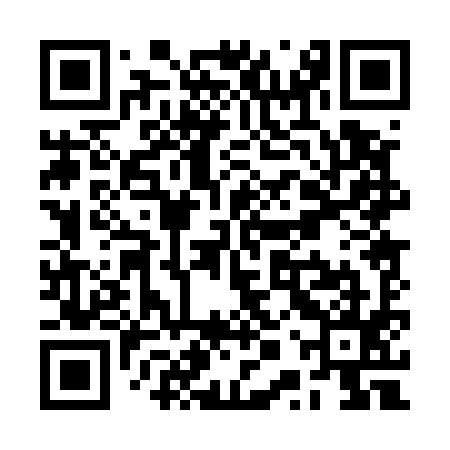 QR code for RPP595