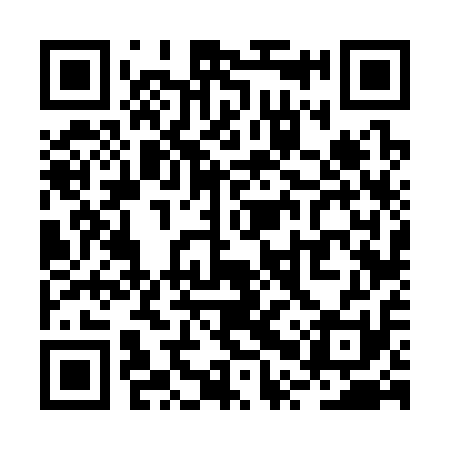 QR code for RPV311