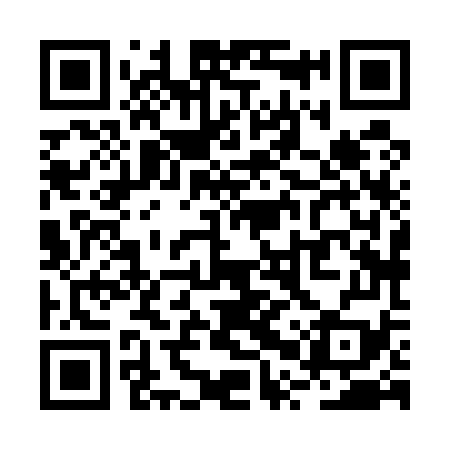 QR code for RPX579