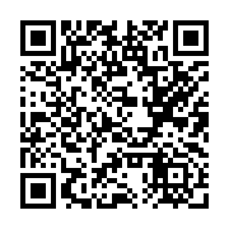 QR code for RPX993