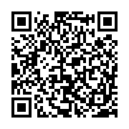 QR code for RPZ597