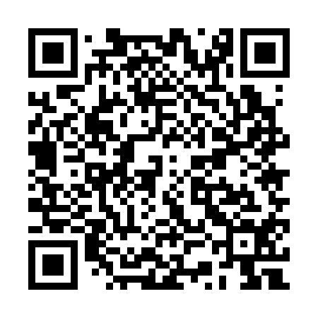 QR code for RSE314