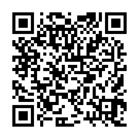 QR code for RSI941