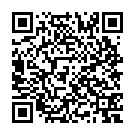QR code for RSM370