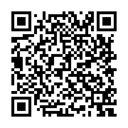 QR code for RSM911
