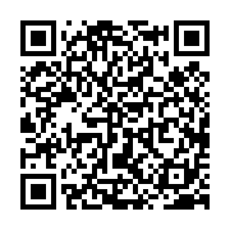 QR code for RSP411