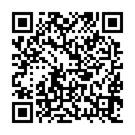QR code for RSV393