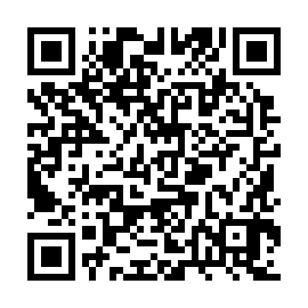 QR code for RTI382