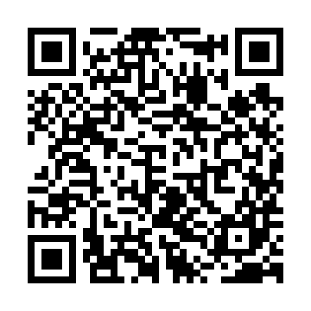 QR code for RTI687