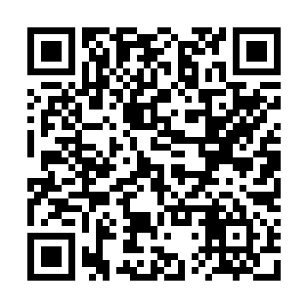 QR code for RTT295
