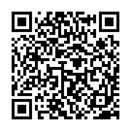 QR code for RUB393