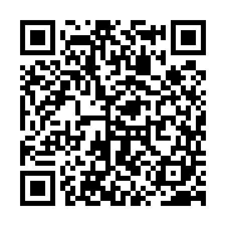QR code for RUI541