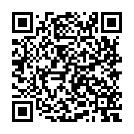 QR code for RUI956