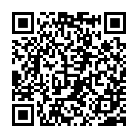 QR code for RUS382