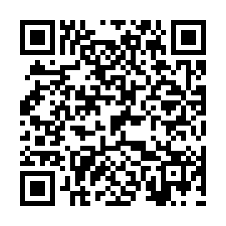 QR code for RVY383