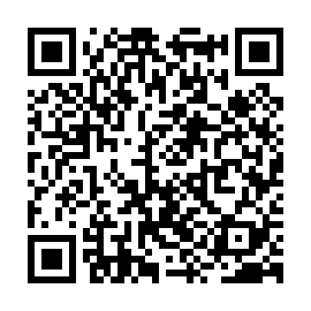 QR code for RYG029