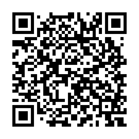 QR code for RYJ384