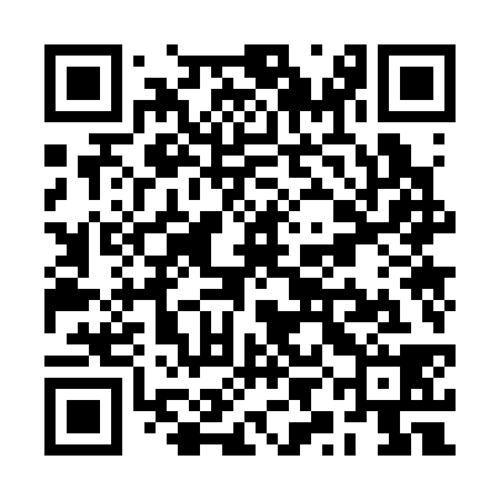 QR code for RYO338