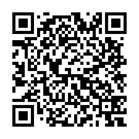 QR code for RYO539