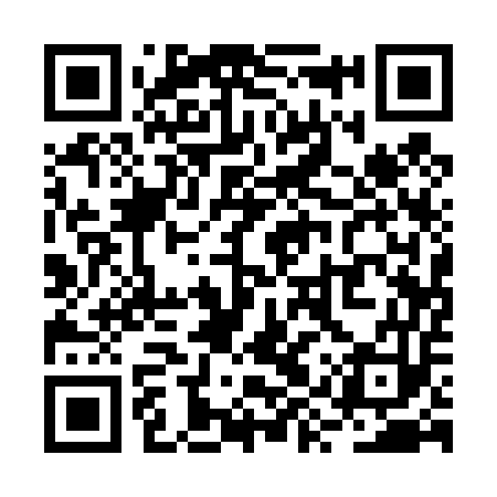 QR code for RYQ453