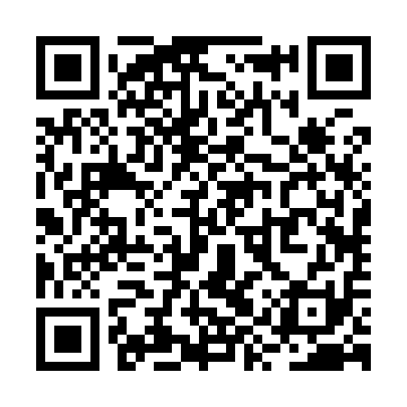QR code for RYR911