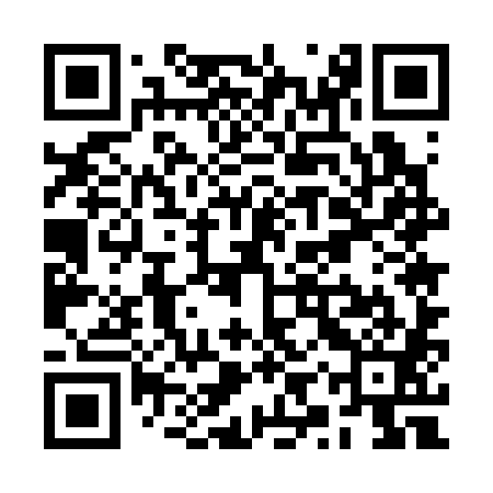 QR code for RYU381