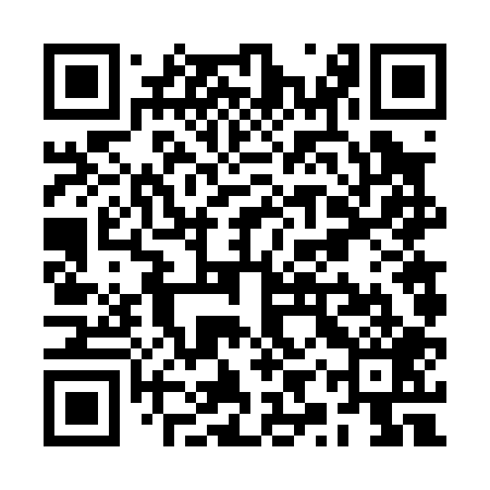 QR code for RYV009